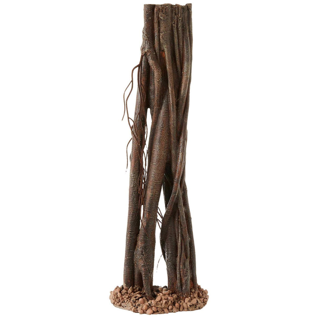 Mangrove Root P783066