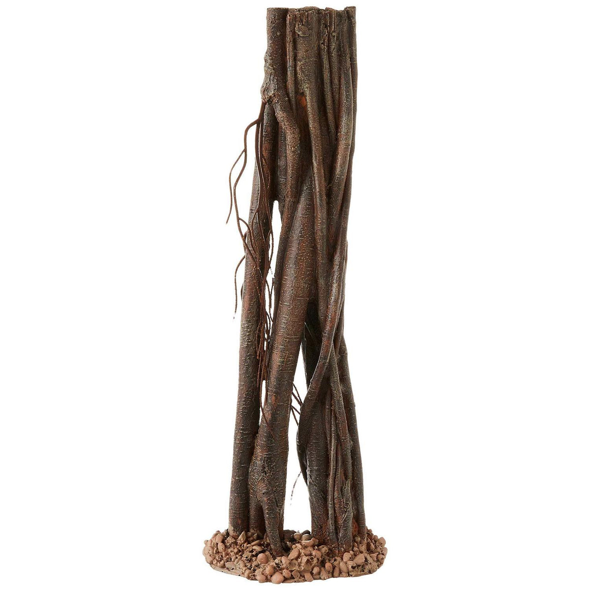 Mangrove Root P783066