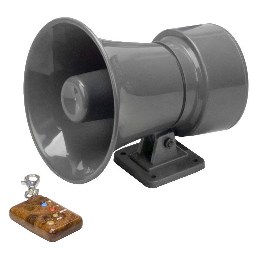 Remote Controlled Electronic Musical Horn B980903