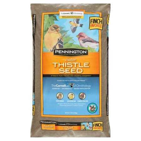 Thistle Seed L7522