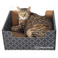 Extra-Large Heavy Duty Cardboard Cat Scratcher and Lounger Box with Refillable Scratch Pad Z781944