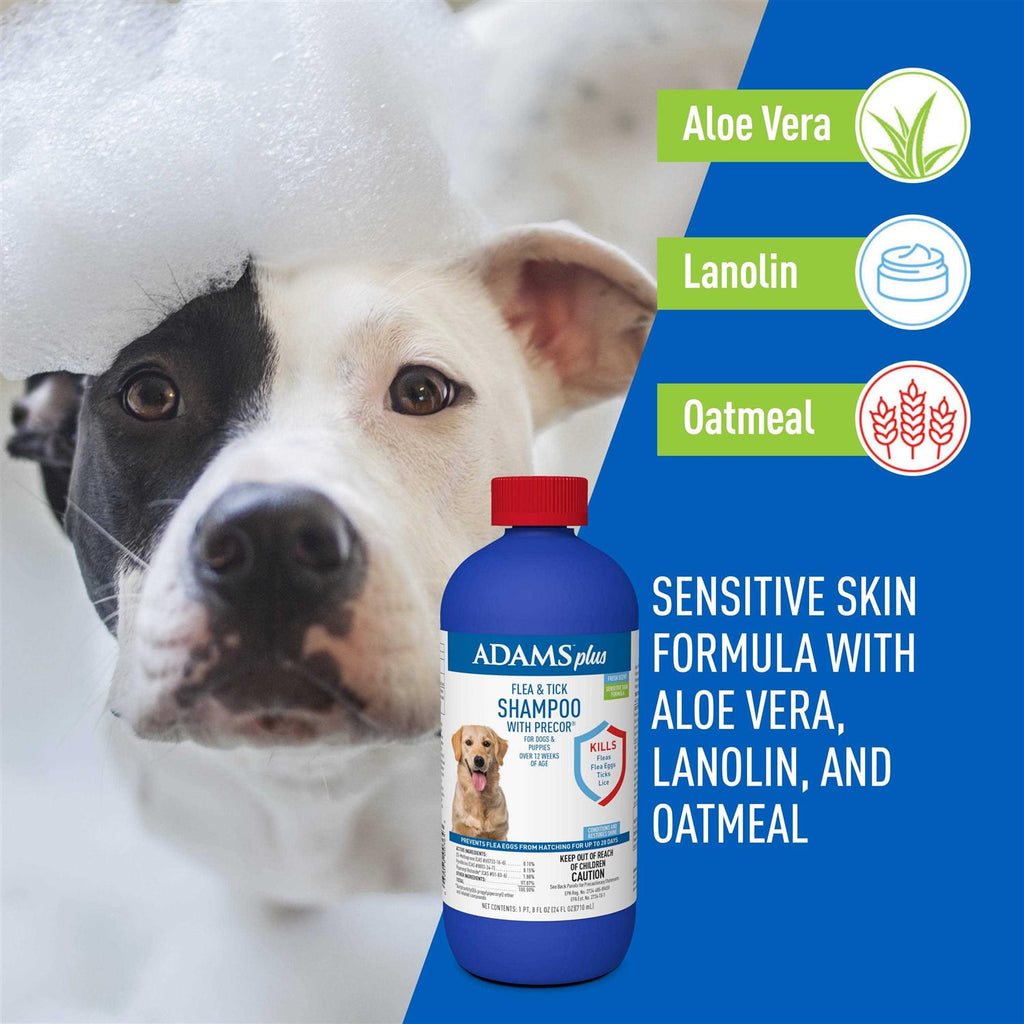Flea Tick Shampoo Y2776