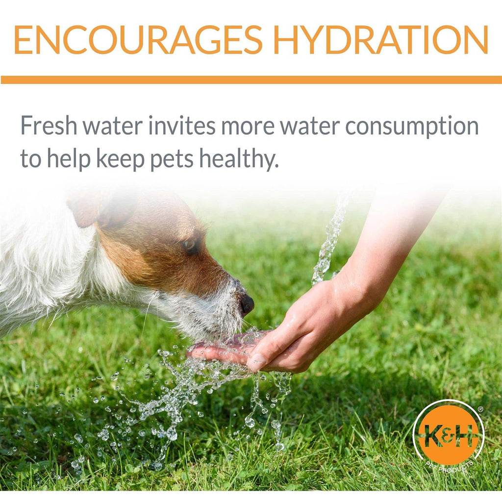 Clean Flow Pet Bowl with Reservoir P308