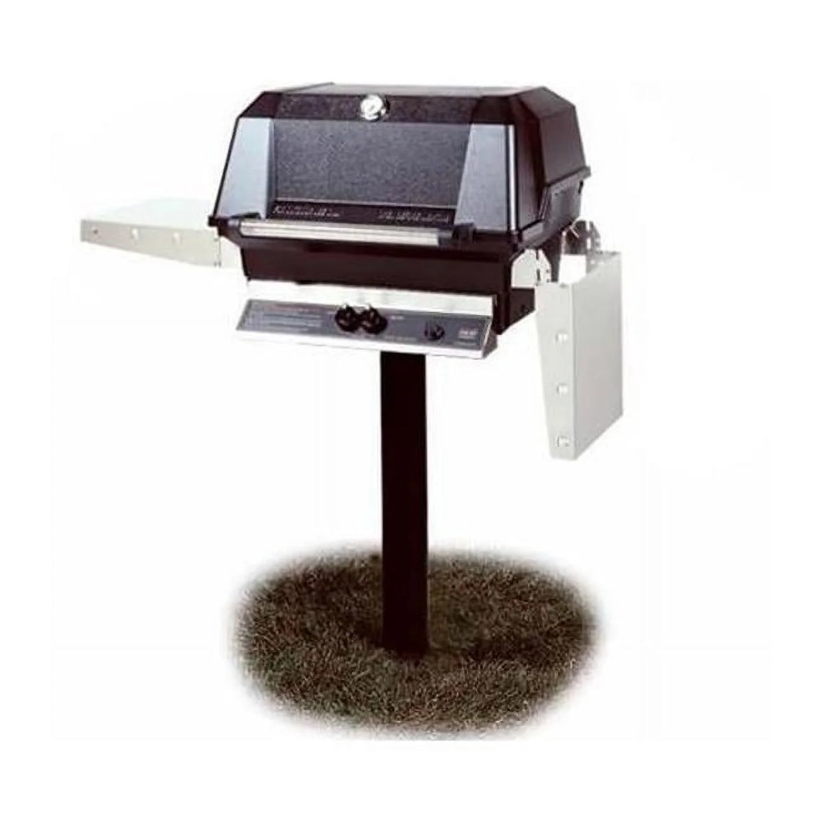 Natural Gas Grill on In-Ground Post C42751
