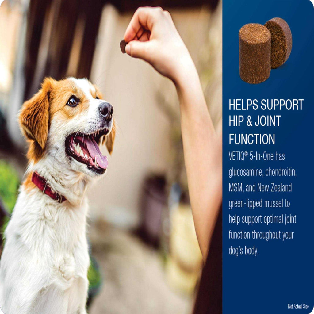 5-in-One Soft Chews for Dogs W43249