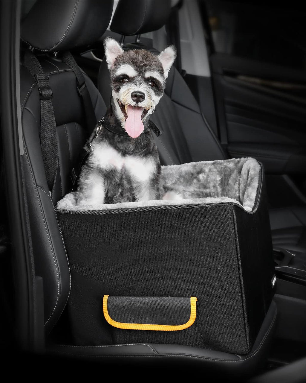 Pet Car Booster Seat for Small Dogs up to 25lbs Pack of 2 F425861