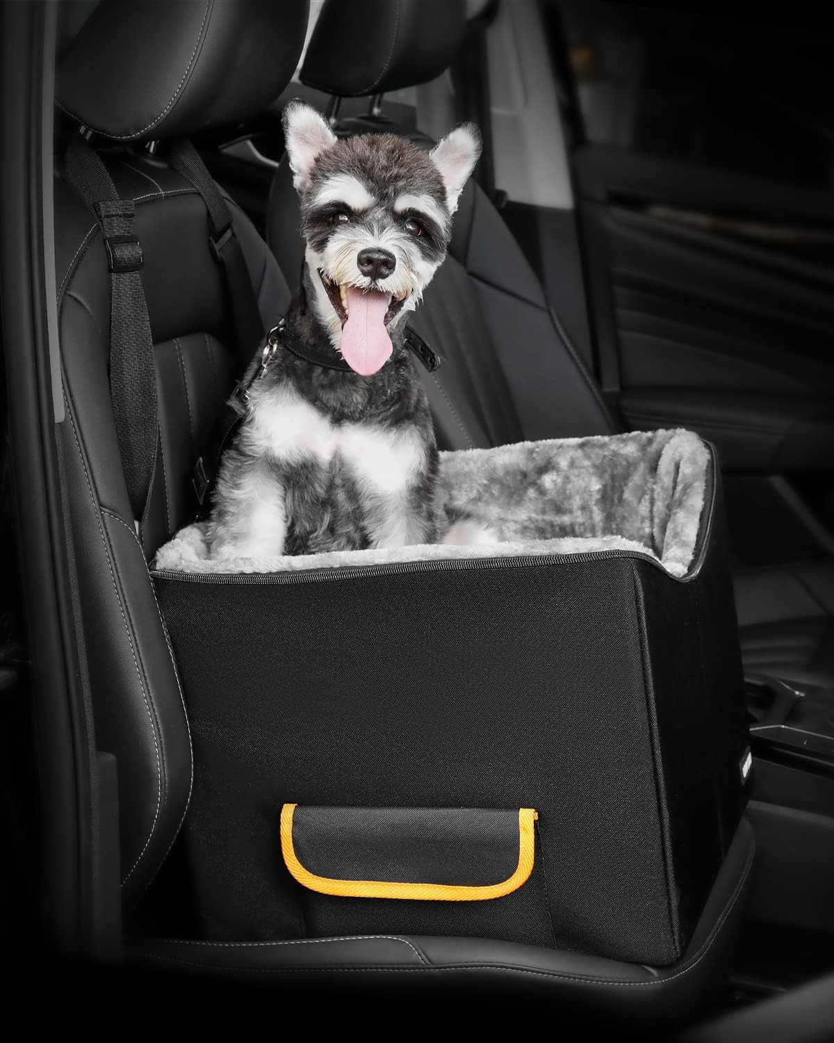 Pet Car Booster Seat for Small Dogs up to 25lbs Pack of 2 F425861