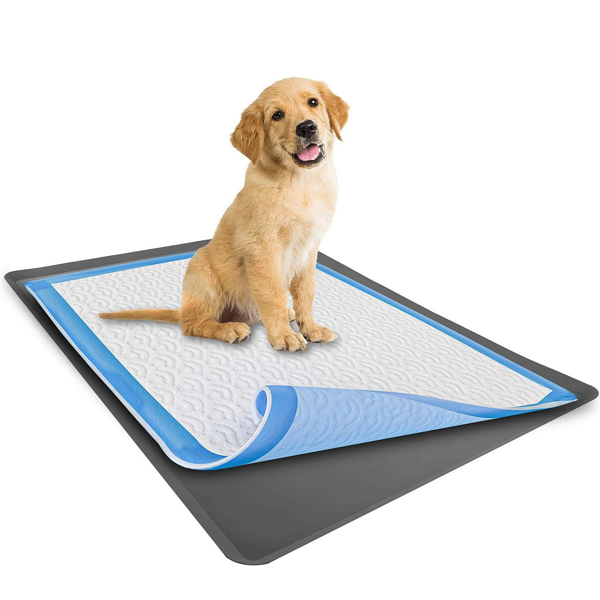 Puppy Pad Holder Tray No Spill N261