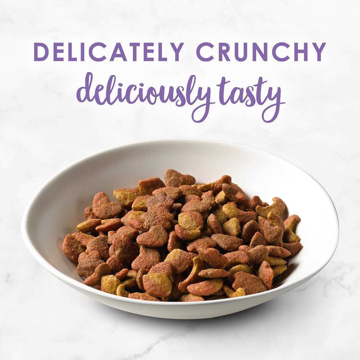 Gourmet Cat Food Salmon F27339