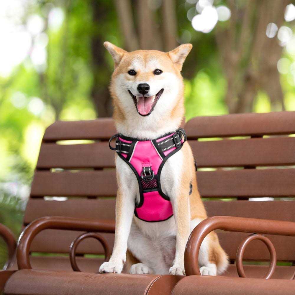 No Pull Reflective Dog Harness Y9788