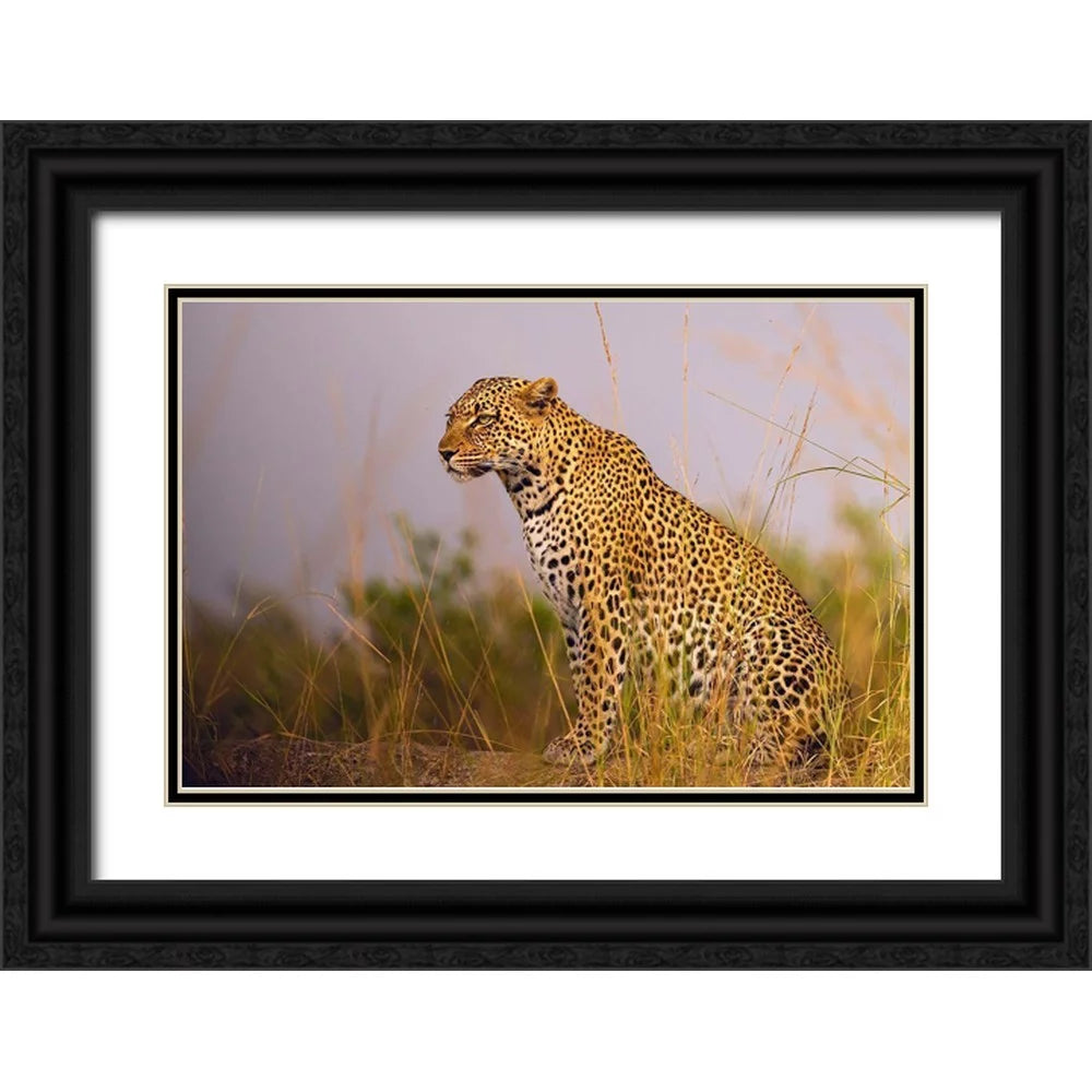 Black Ornate Wood Framed Art Print C291