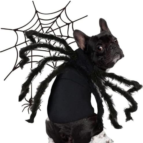 Luminous Pet Halloween Costume Y742012