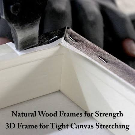 Canvas Art V90162