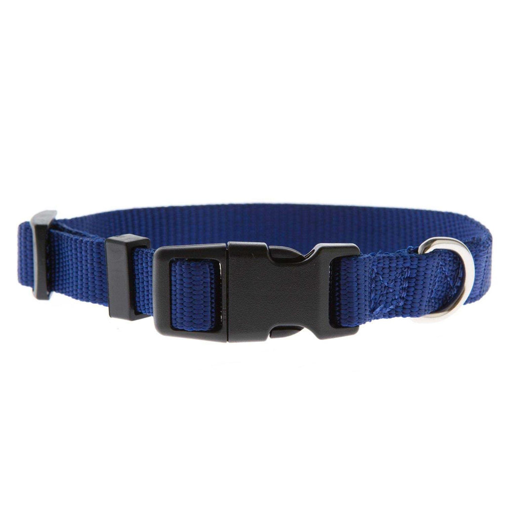 Dog Collar M887