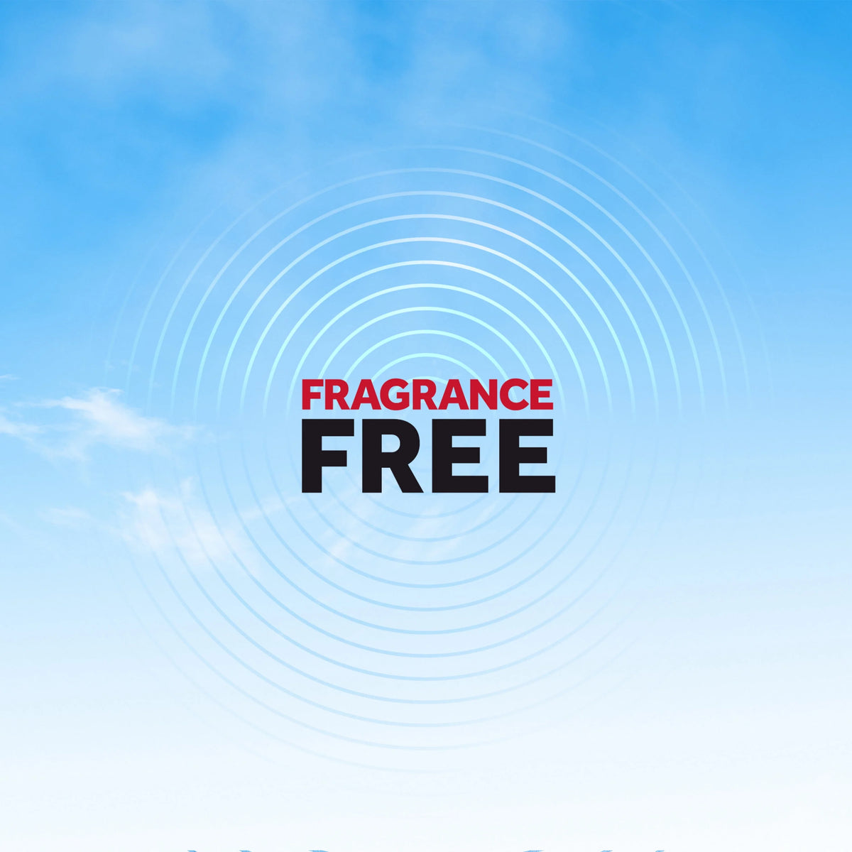 Fragrance-Free Insect Killer Spray 20 oz 2 Count R541