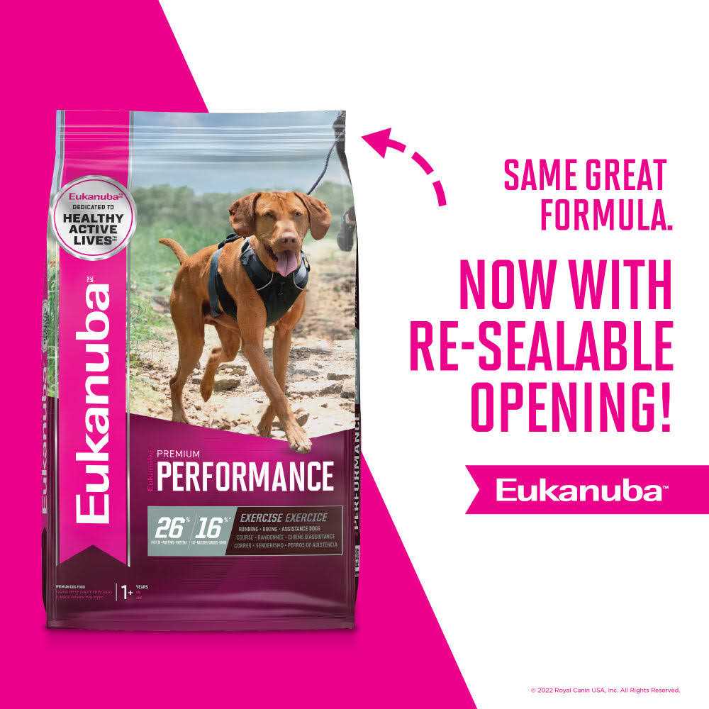 Dry Dog Food X16705