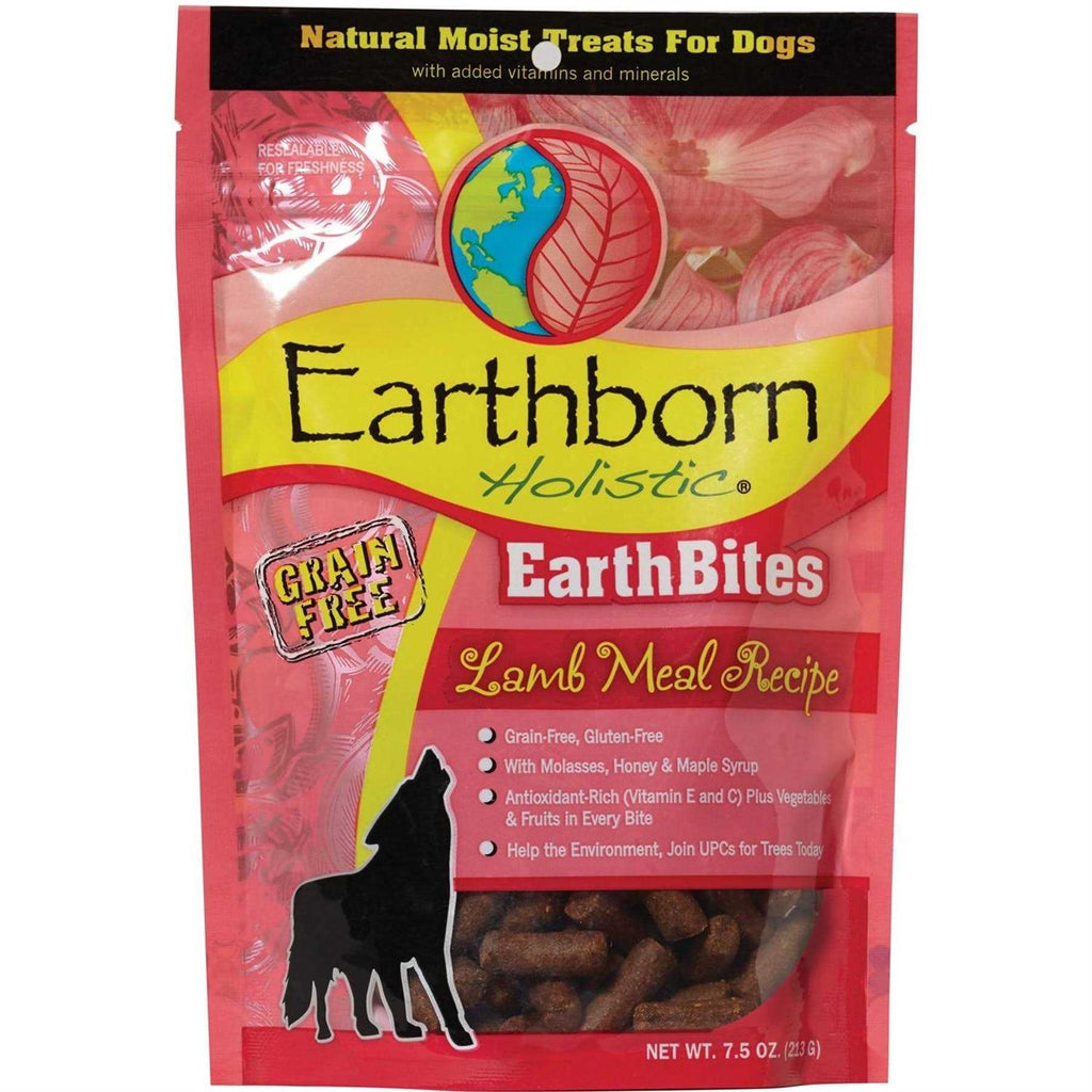 Chewy Soft Dog Treats 7 oz E479907