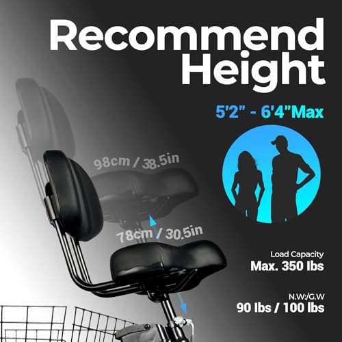 Black 20" x 4.0 Fat Tire Electric Tricycle I51461