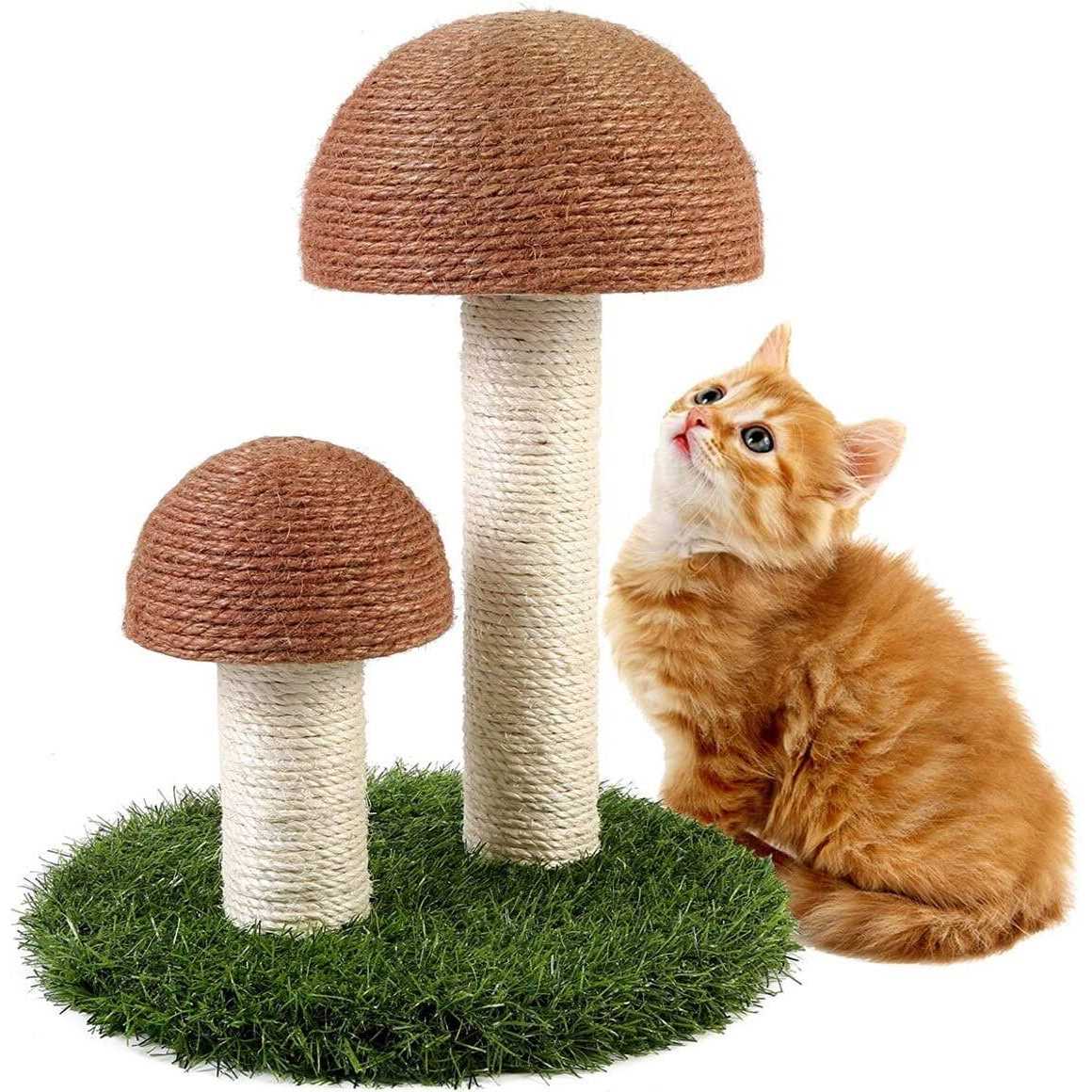 Mushroom Cat Scratcher F161704