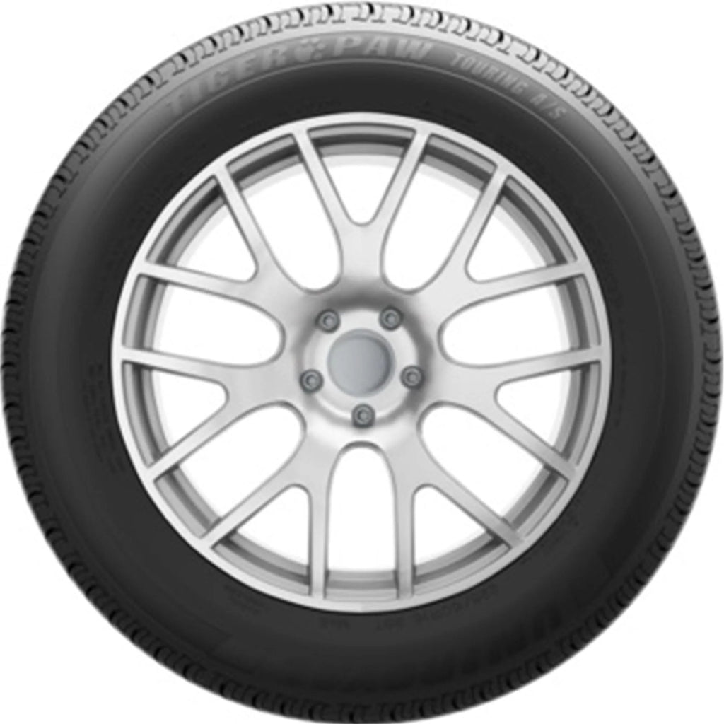 All Season 235/55R17 99H Passenger Tire G43950