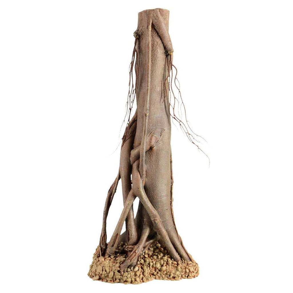 Mangrove Root P783066