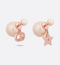 Earrings T5086