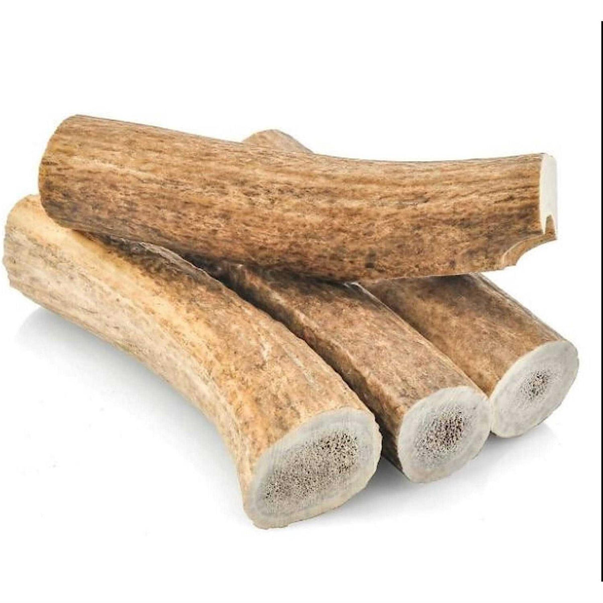 All Natural Whole Elk Antler Dog Chew F37552