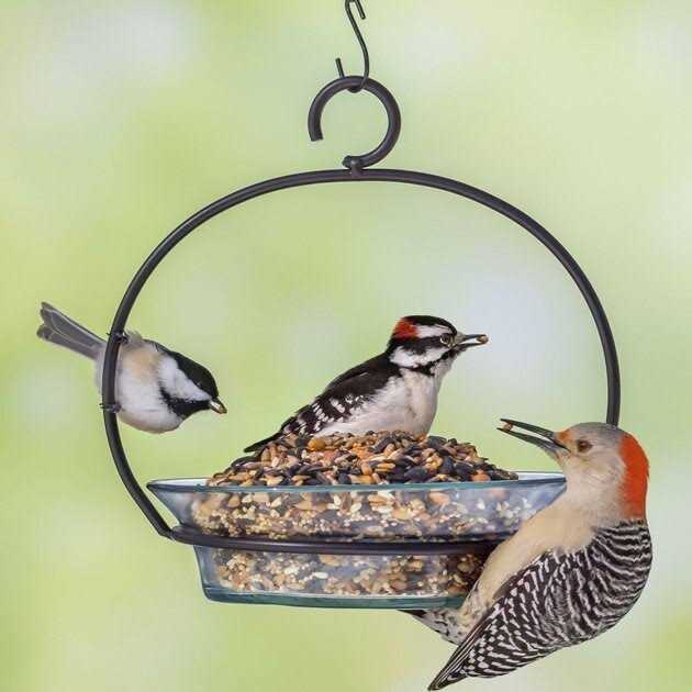 Hot Pepper Blend Bird Food P3551