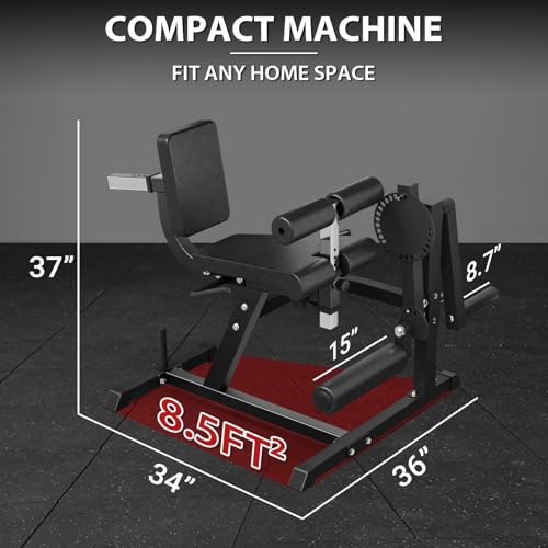 Adjustable Leg Extension and Curl Machine U519