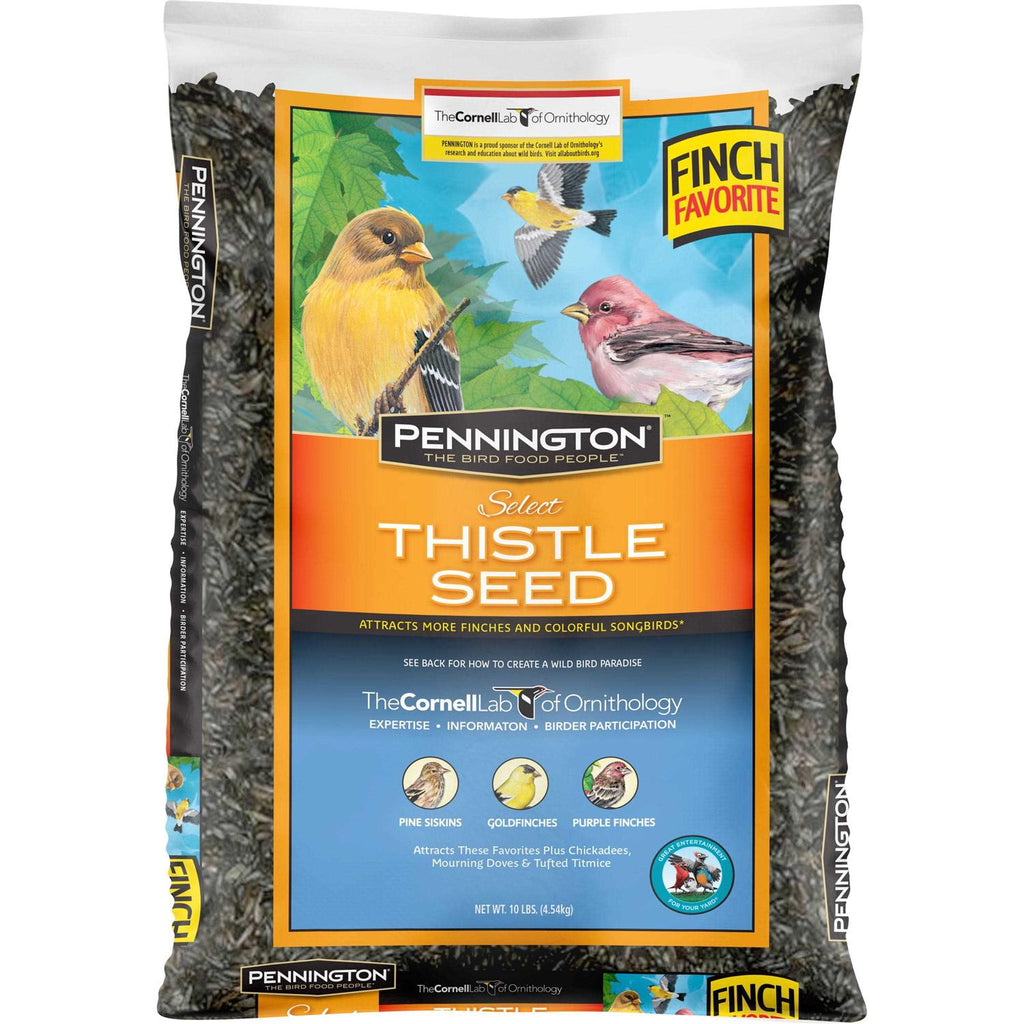 Thistle Seed L7522