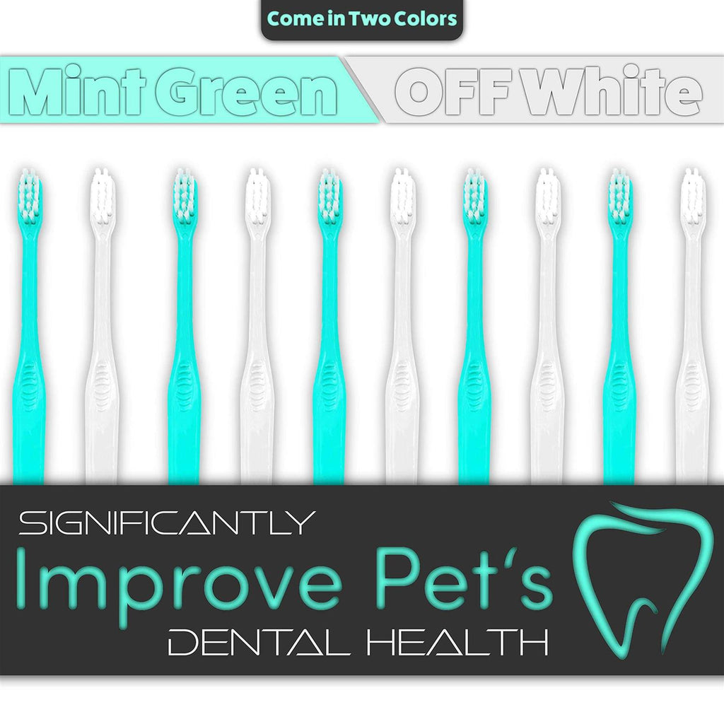 Dog Toothbrushes Q1417