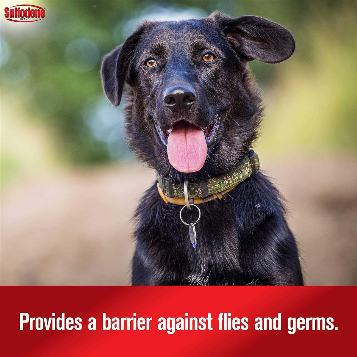 Dog Ointment R1049