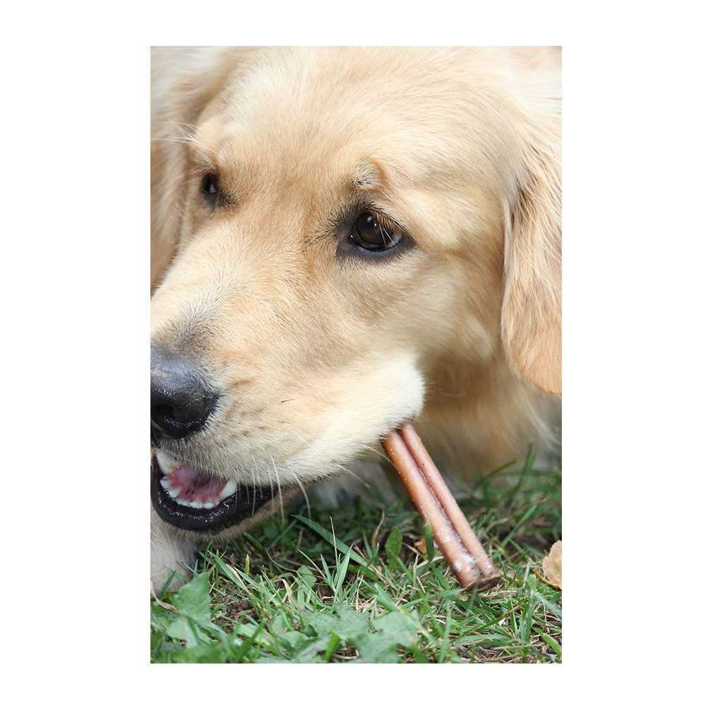 Bully Sticks For Medium Dogs G617611