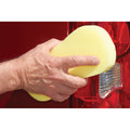 Bone Sponge R6490