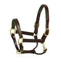 Green Leather Padded Halter U46540