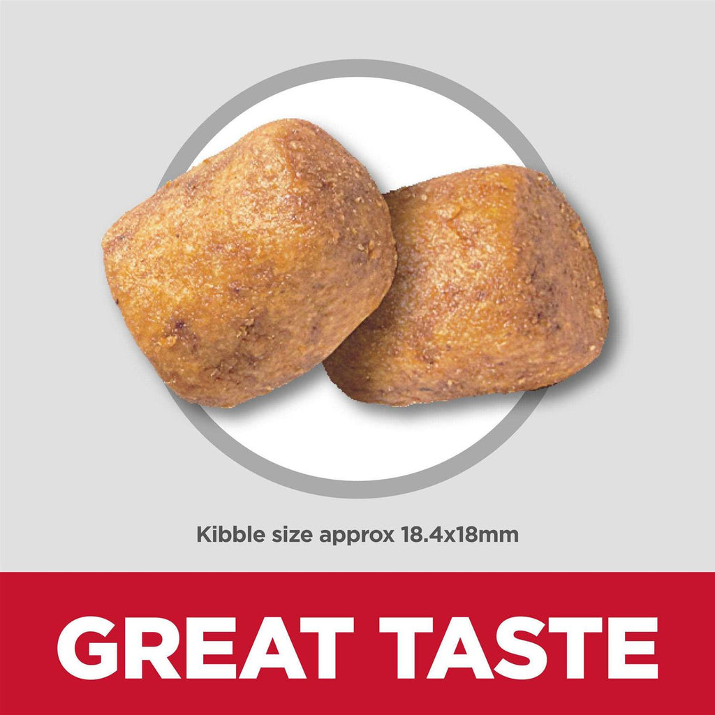 Adult Oral Care Small & Mini Chicken Recipe Dry Dog Food N17679