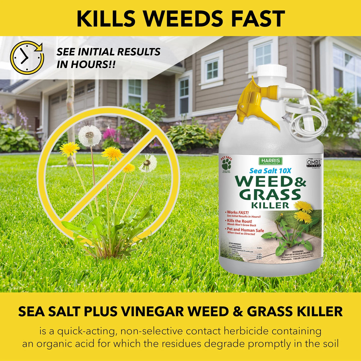 Sea Salt Weed & Grass Killer 128 oz G14849
