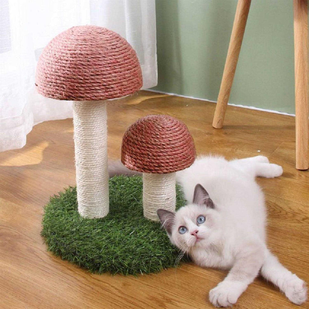 Mushroom Cat Scratcher F161704