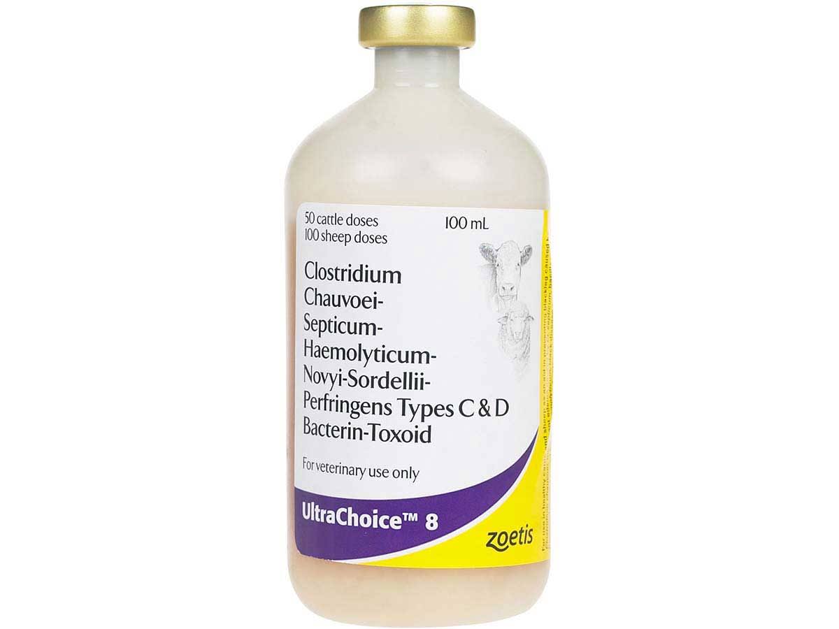 8 Cattle Sheep Vaccine 50 DS M4180