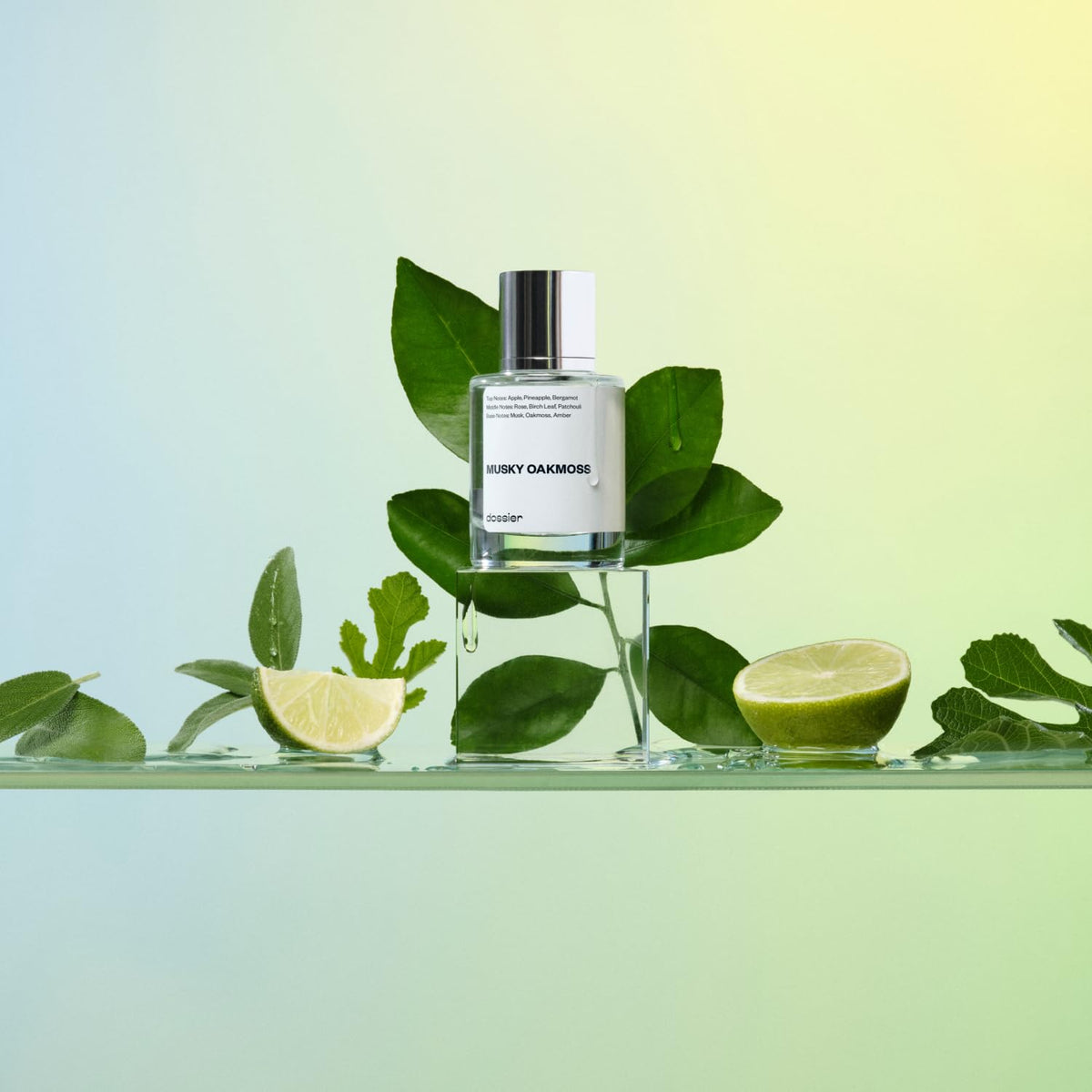 Musky Oakmoss Eau de Parfum 1.7 oz Spray 50ml F9217