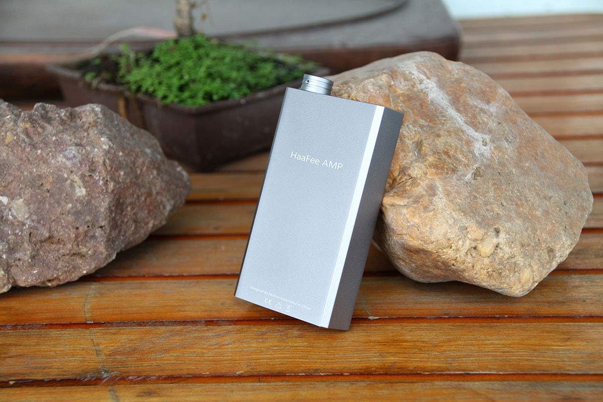 Portable Headphone Amplifier E1444
