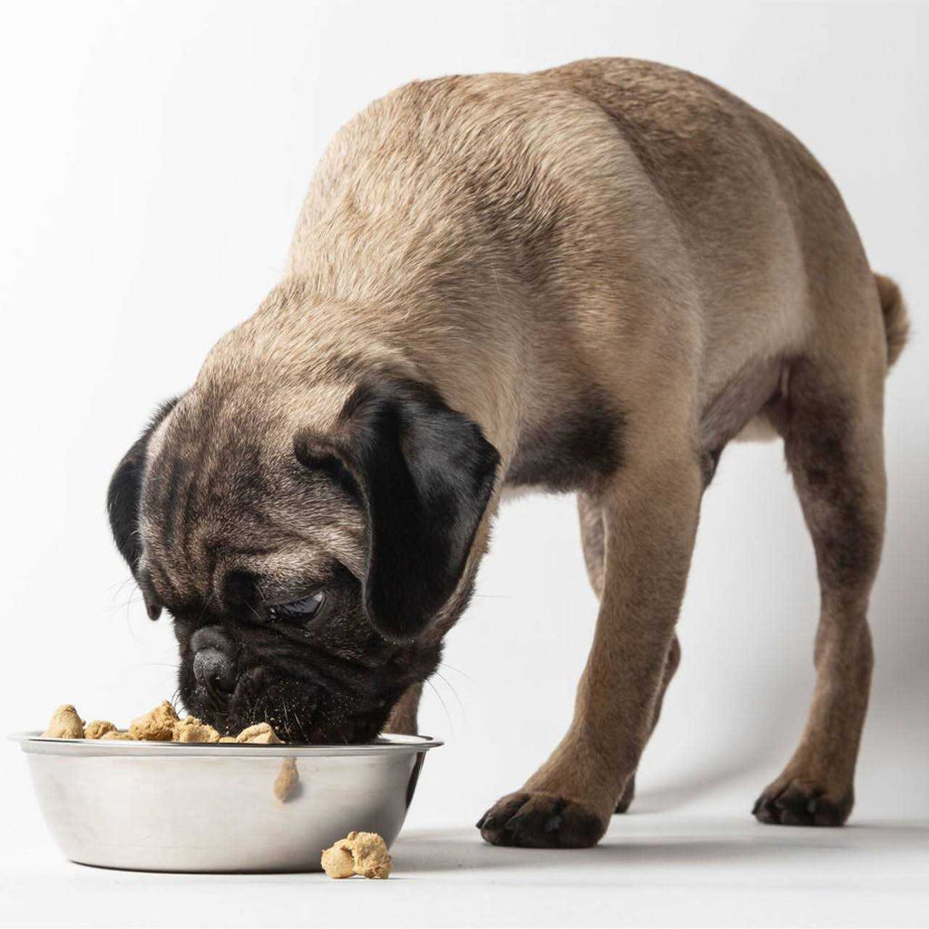Freeze Dried Dog Food K51000