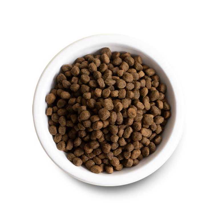 Chicken Ancient Grains Dry Dog Food Q573