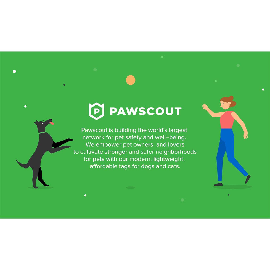 Smart Pet Tag N7351