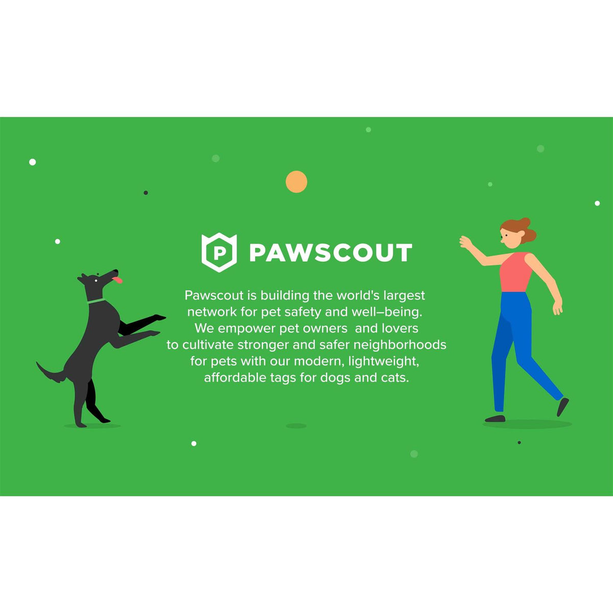 Smart Pet Tag N7351