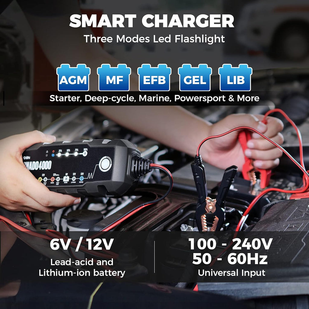 4A/1A 6V/12V Smart Battery Maintainer Desulfator for Lead-Acid/Lithium ion Batteries, Pack of 2 G503115