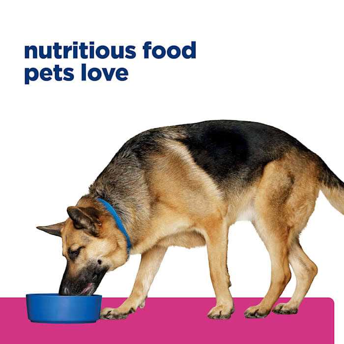 Chicken Dry Dog Food D102655