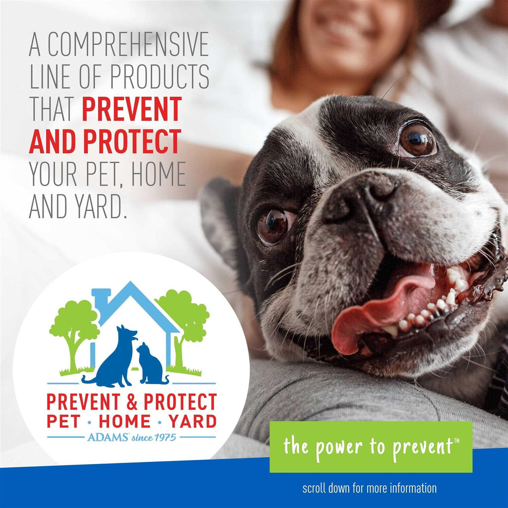 Flea Tick Shampoo Y2776