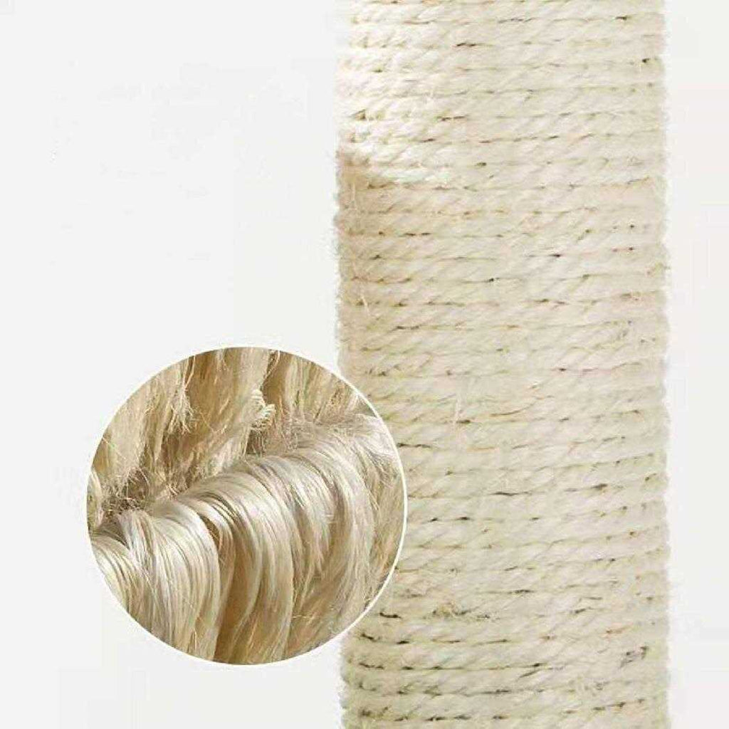 Mushroom Cat Scratcher F161704