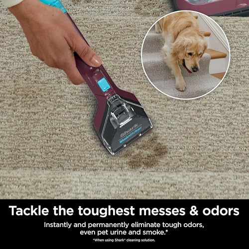 Portable Carpet Upholstery Area Rug Cleaner V70311